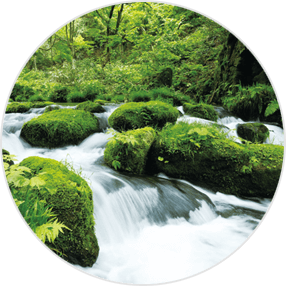 「水」へのこだわり