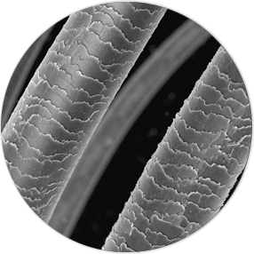 最先端のヘアケア研究