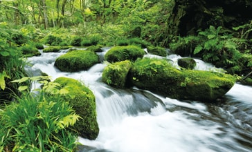 水へのこだわり